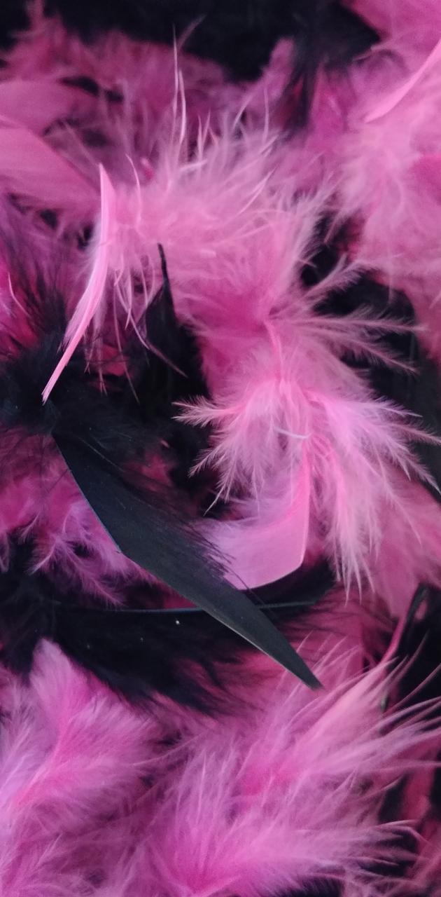 630x1280 Pink Black Feathers wallpaper