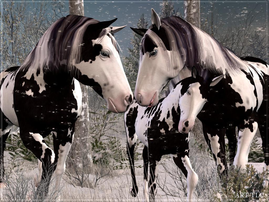 1024x768 Cute Horse Christmas Background