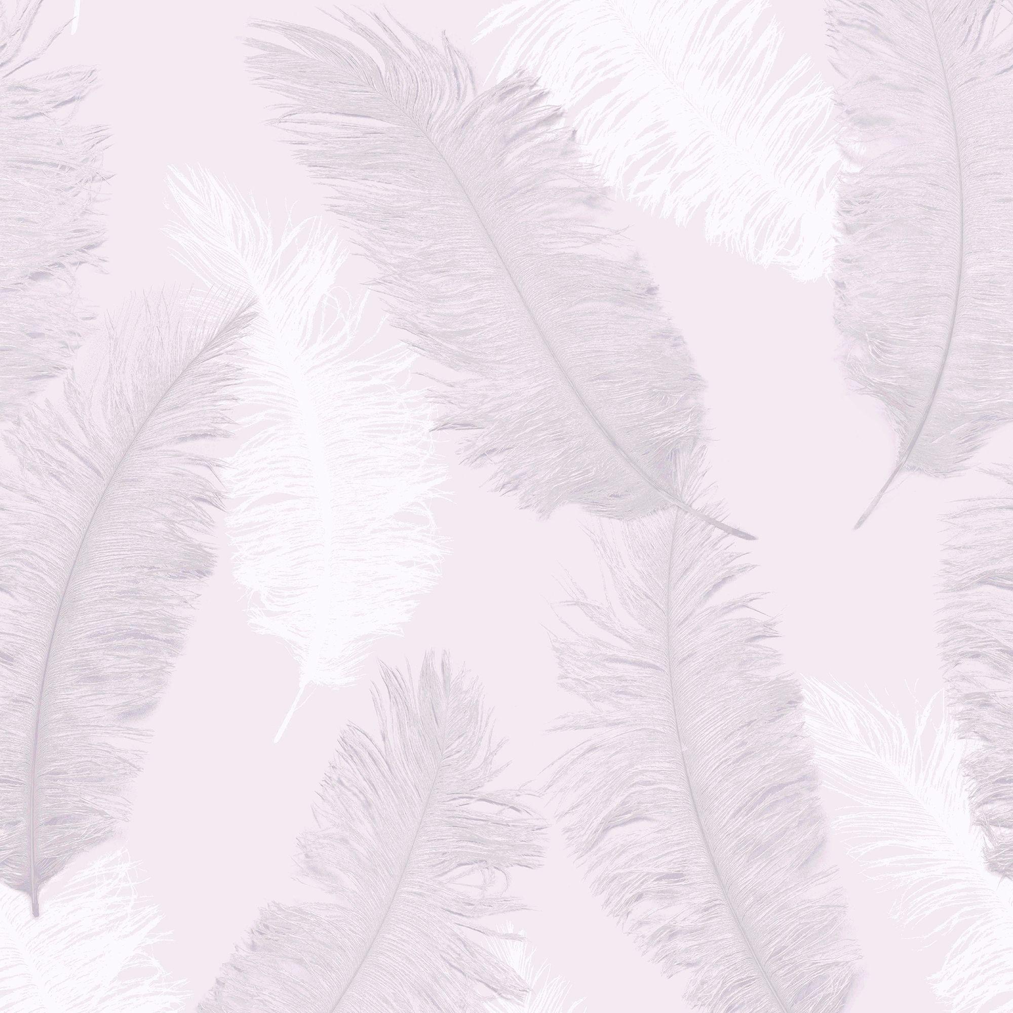 Pink Feather Wallpapers - Top Free Pink Feather Backgrounds