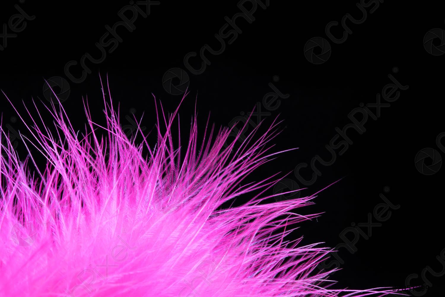 Pink Feather Wallpapers - Top Free Pink Feather Backgrounds ...