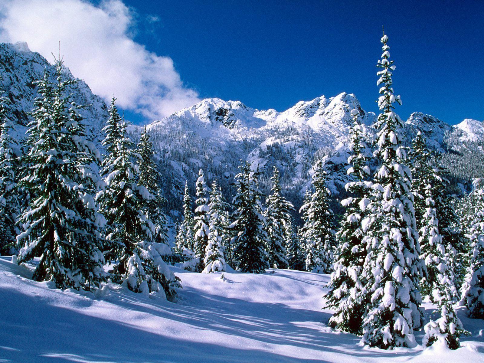 1600x1200 Christmas Mountains Wallpaper