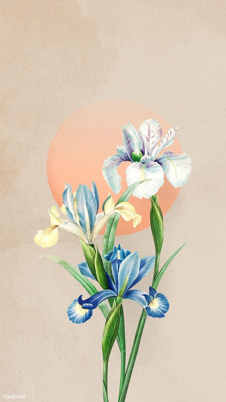 736x1308 Blooming Spanish iris flower mobile screen background illustration. premium image / manotang. Iris painting, Iris flowers, Sun painting