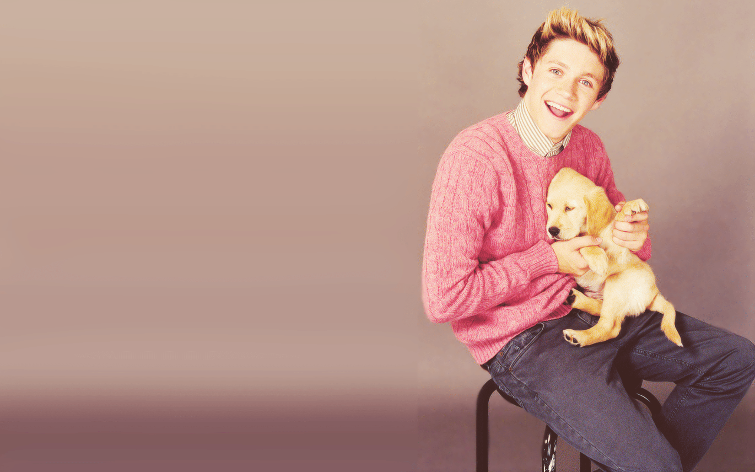 2880x1800 Niall Horan Wallpaper Called Niall Horan ♥ Horan Puppy Wallpaper & Background Download