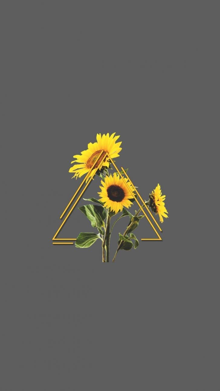 728x1293 Wallpaper HD: Sunflower, Aesthetic, Wallpaper, Top, Free, Sunflower
