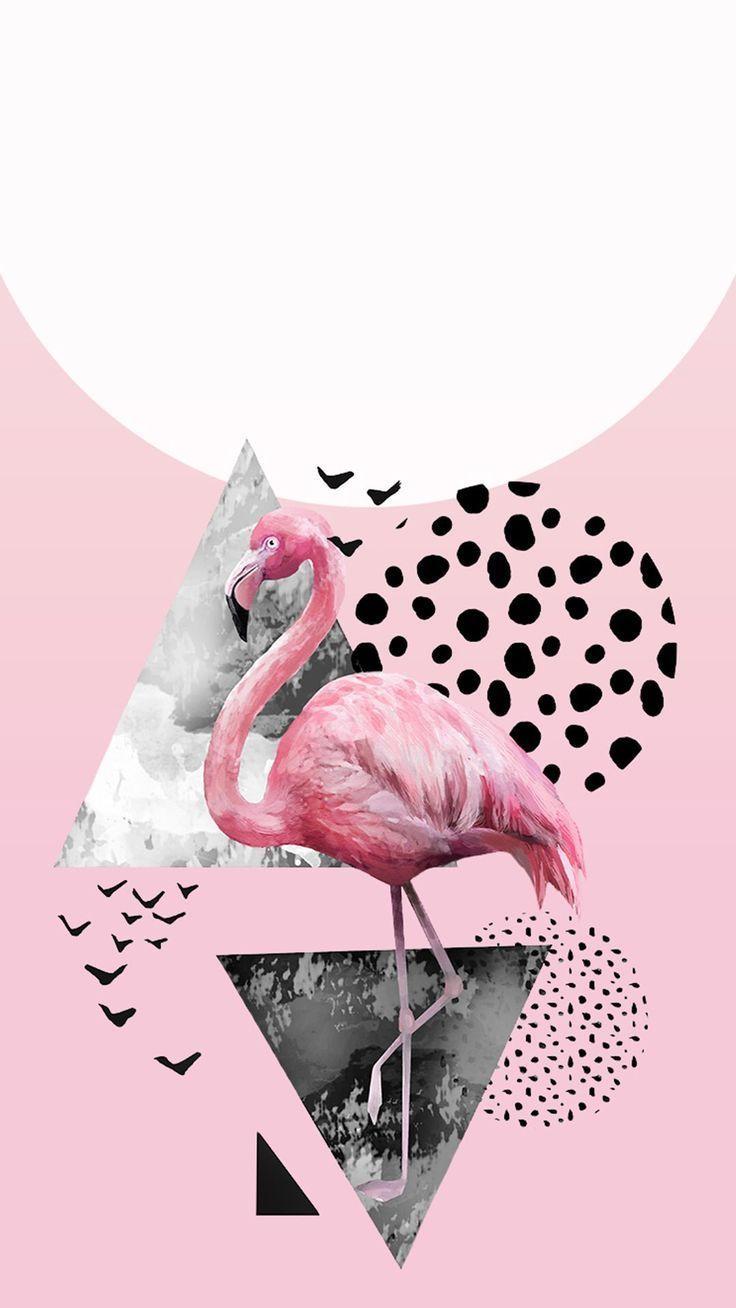 736x1308 Flamingo Wallpaper Tumblr