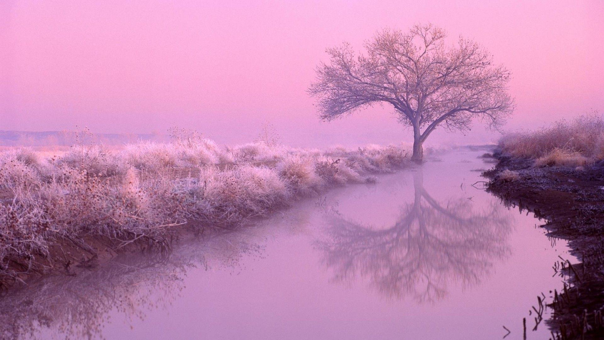 1920x1080 Best Aesthetic Background, HD Wallpaper & Picture Download