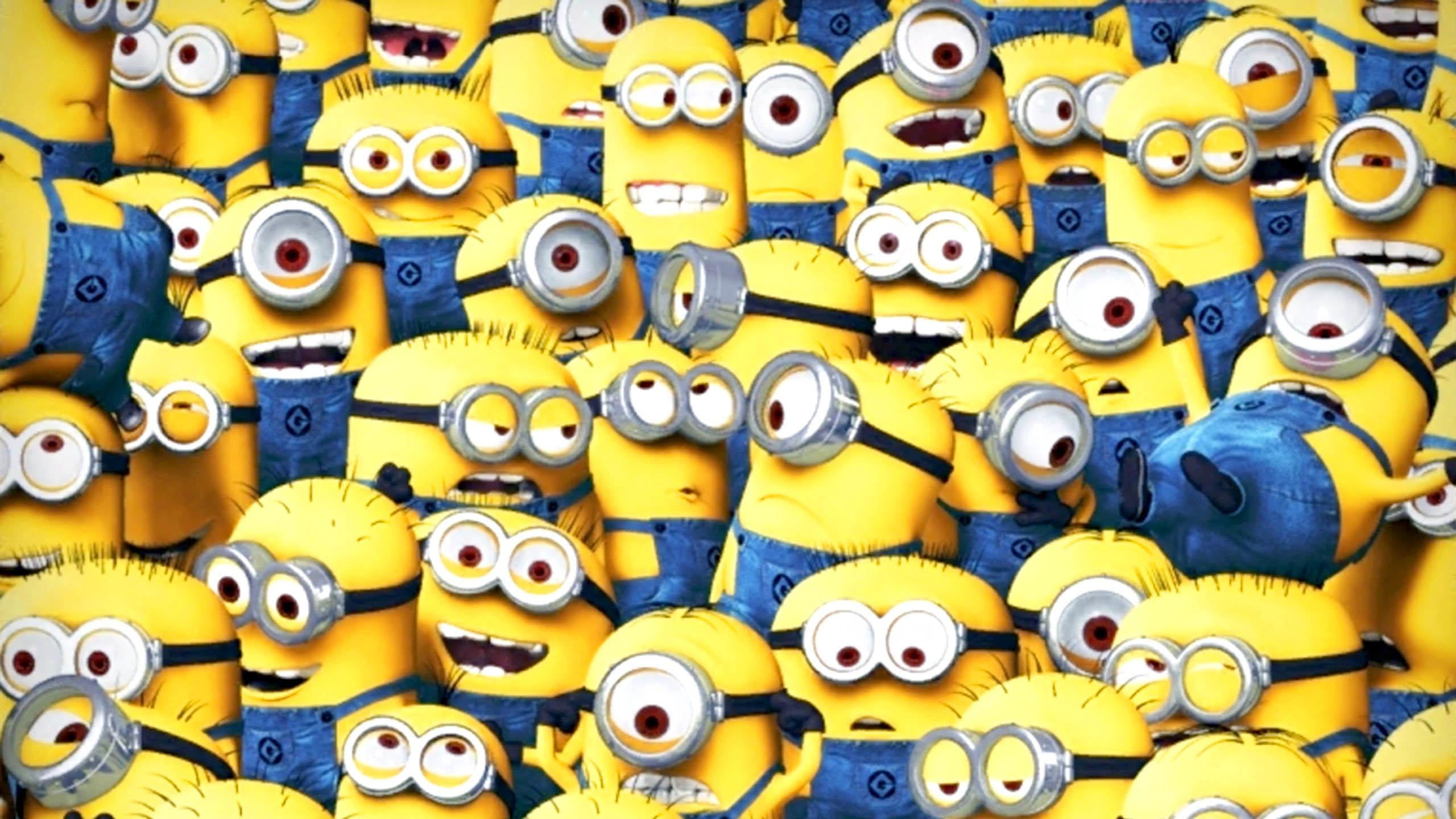 2560x1440 Minion Wallpaper for Android