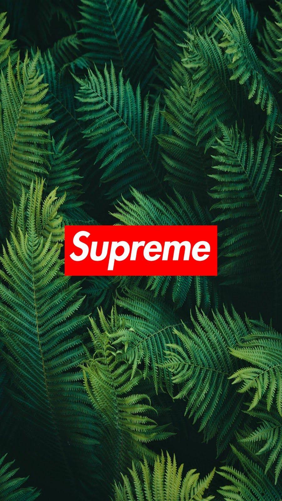 Green Supreme Wallpapers Top Free Green Supreme Backgrounds