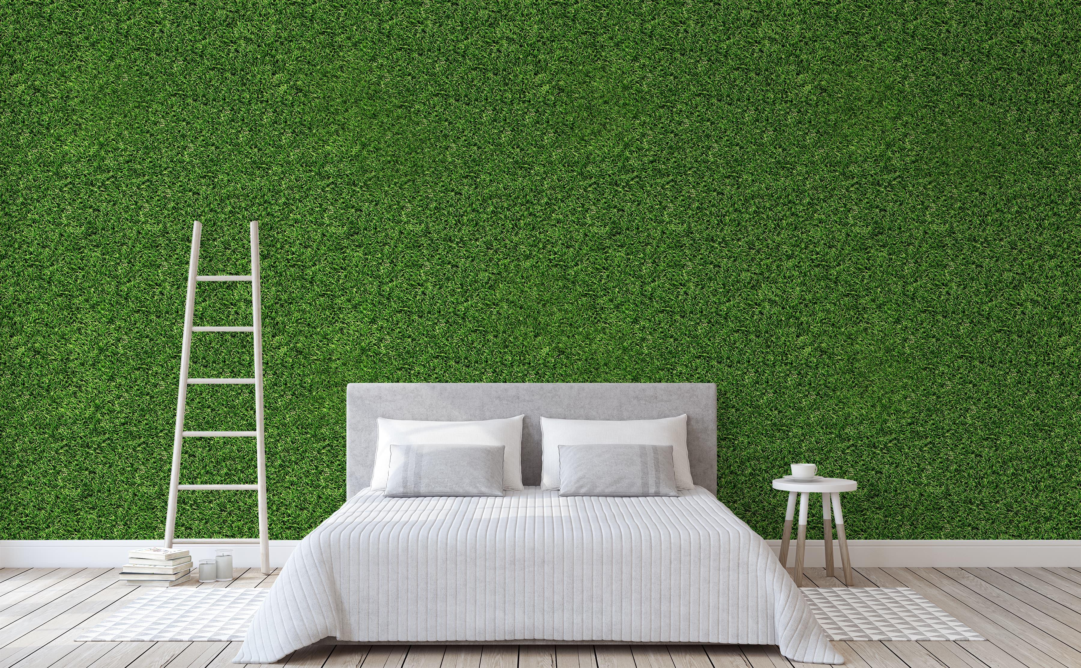 3600x2225 Live Greenery Wall Mural. Over the Hedge