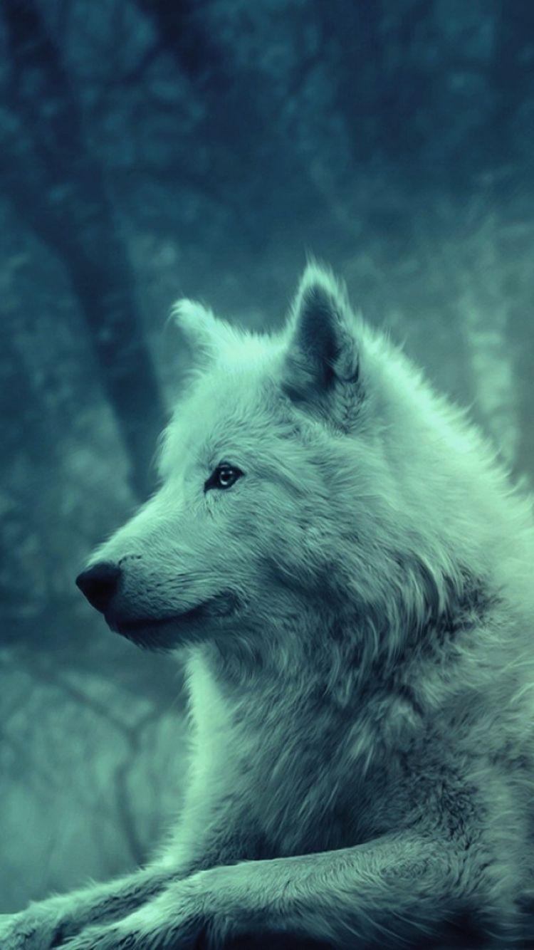 750x1334 wolf iphone 6 wallpaper