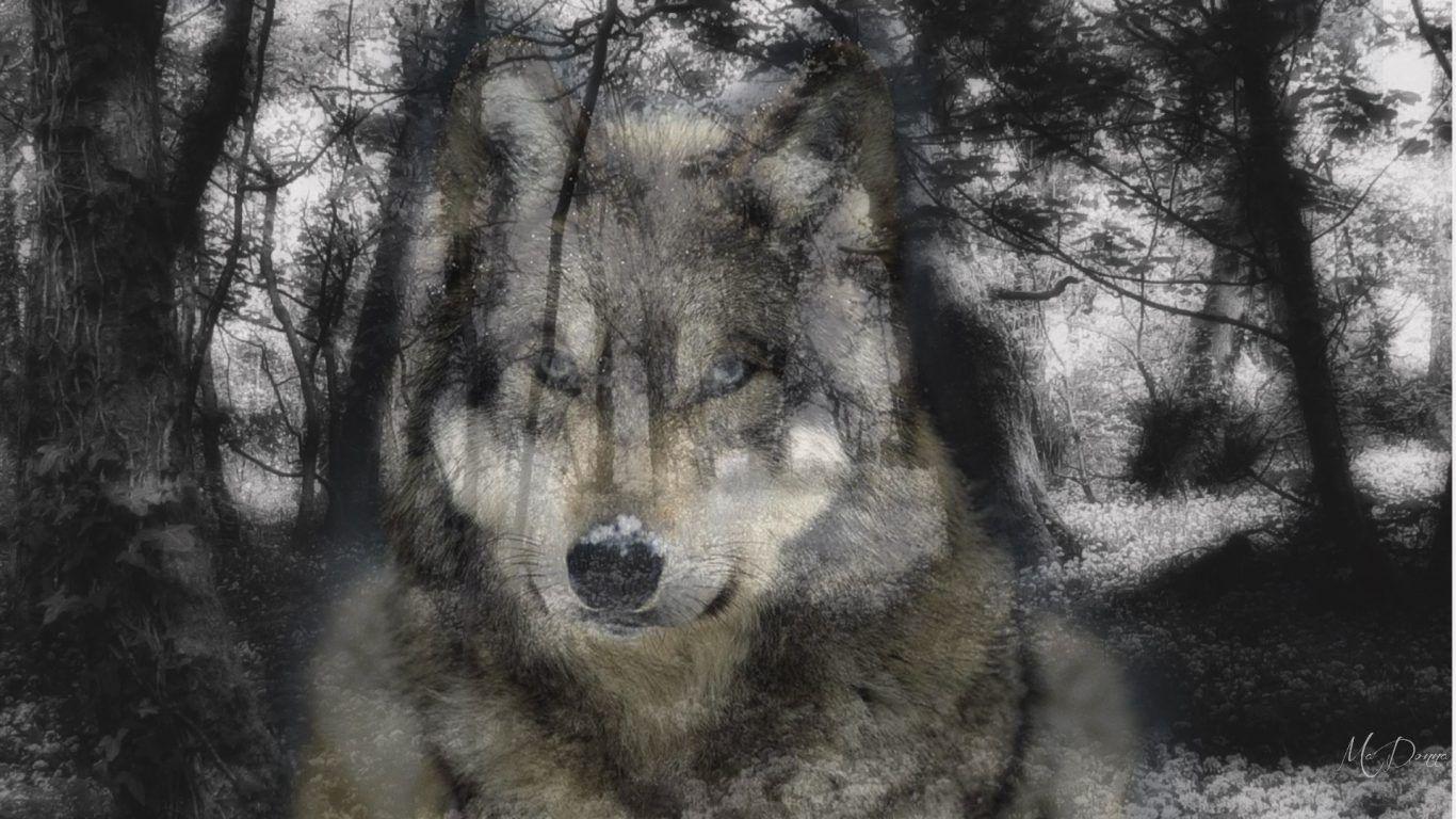 1366x768 Group of Animals Collage Wallpaper Puppydog