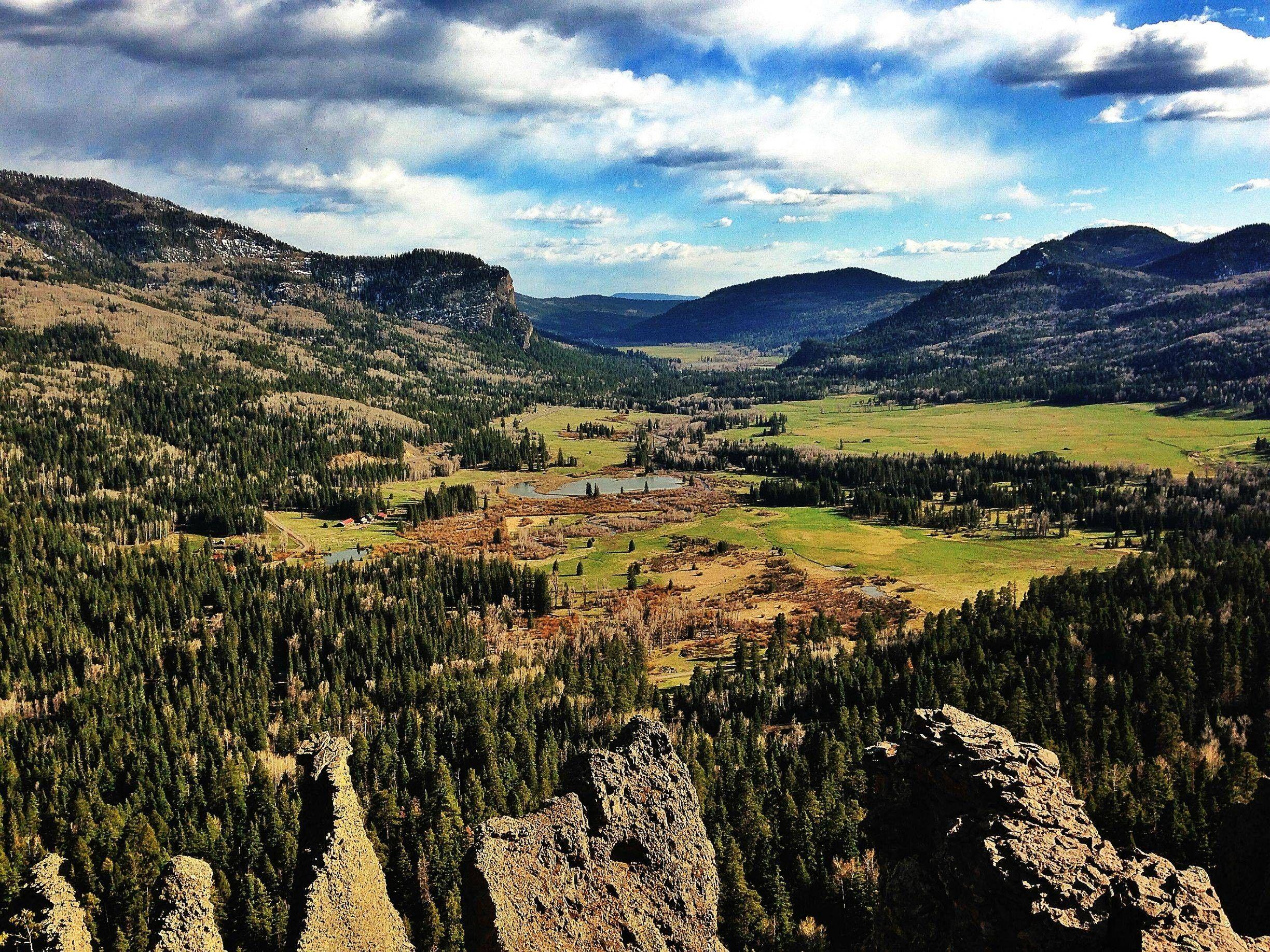 2448x1836 Mountain: Mlountain Cool Fun Pass Creek Forest Wolf Nature Mountains