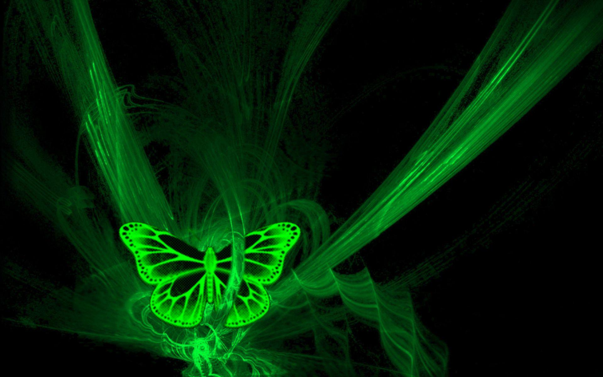 1920x1200 Image detail for -Download wallpaper butterfly, neon, black, green free desktop. Green butterfly, Neon wallpaper, Butterfly wallpaper