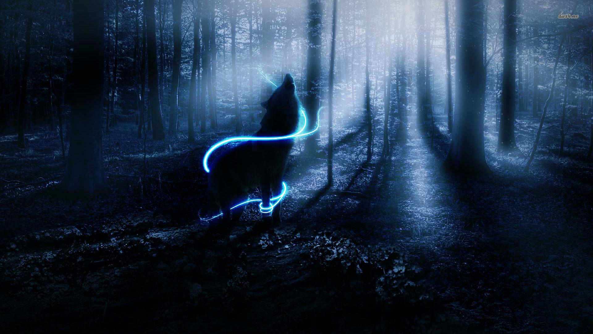 1920x1080 Wolf Wolves Fantasy Forest Bokeh Trees Night Mood Wallpaper