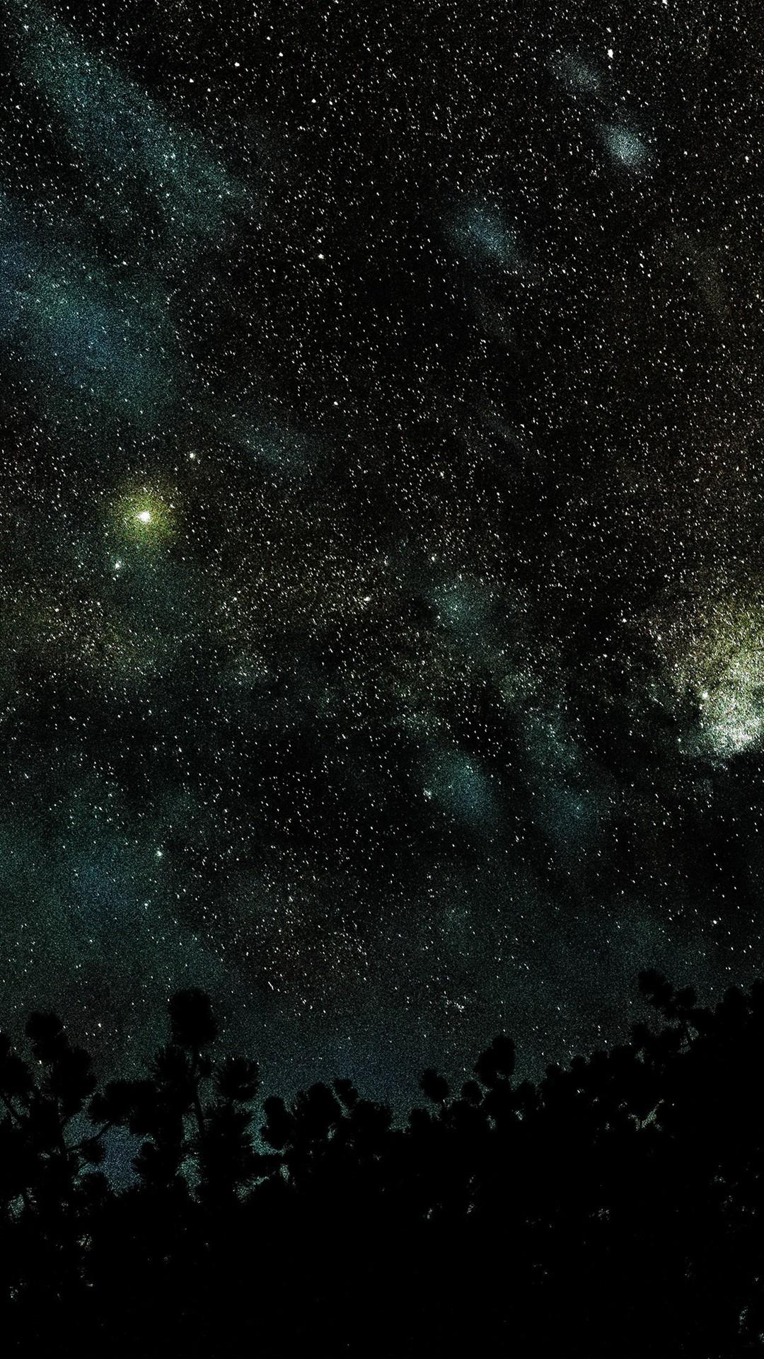 1080x1920 Space Star Night Sky Fall Nature Wood Dark Blue iPhone 8 wallpaper