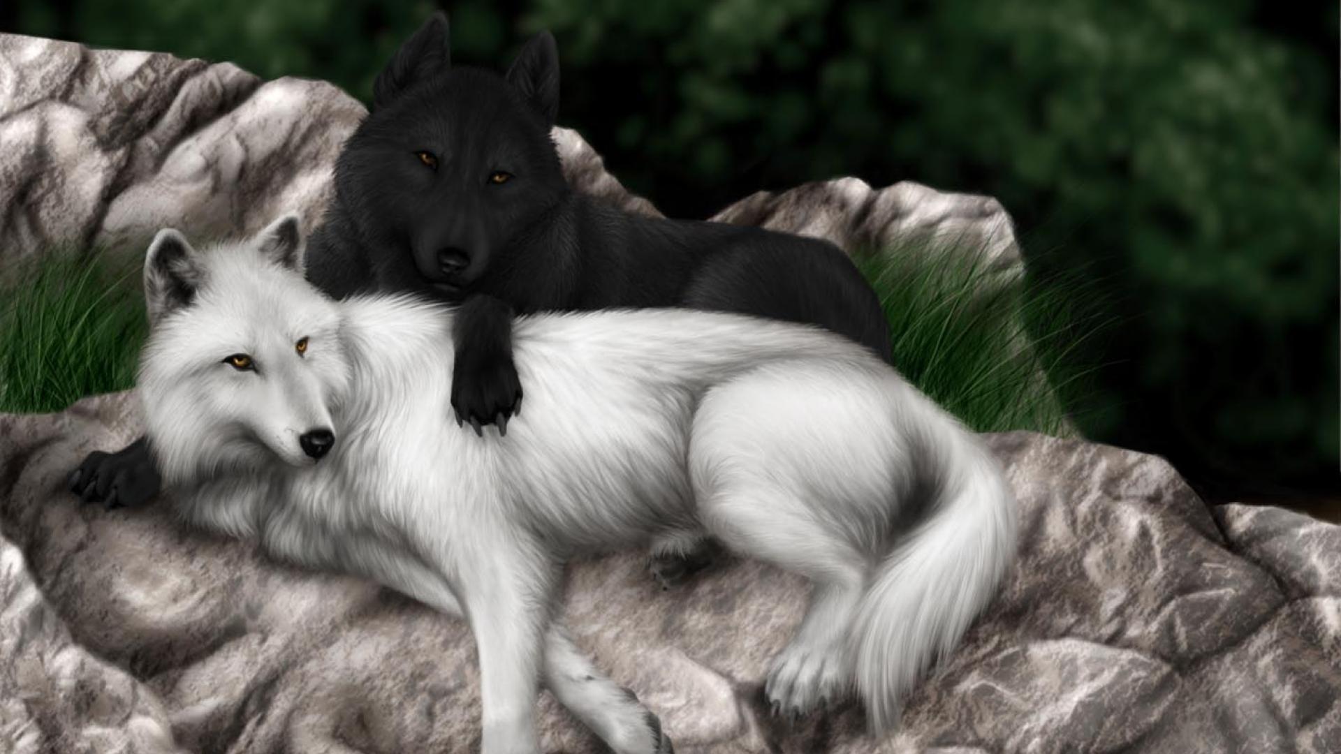 1920x1080 Wolf Mobile Wallpaper