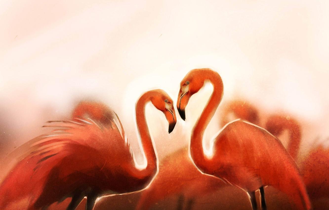 1332x850 Wallpaper birds, art, flamingo image for desktop, section живопись
