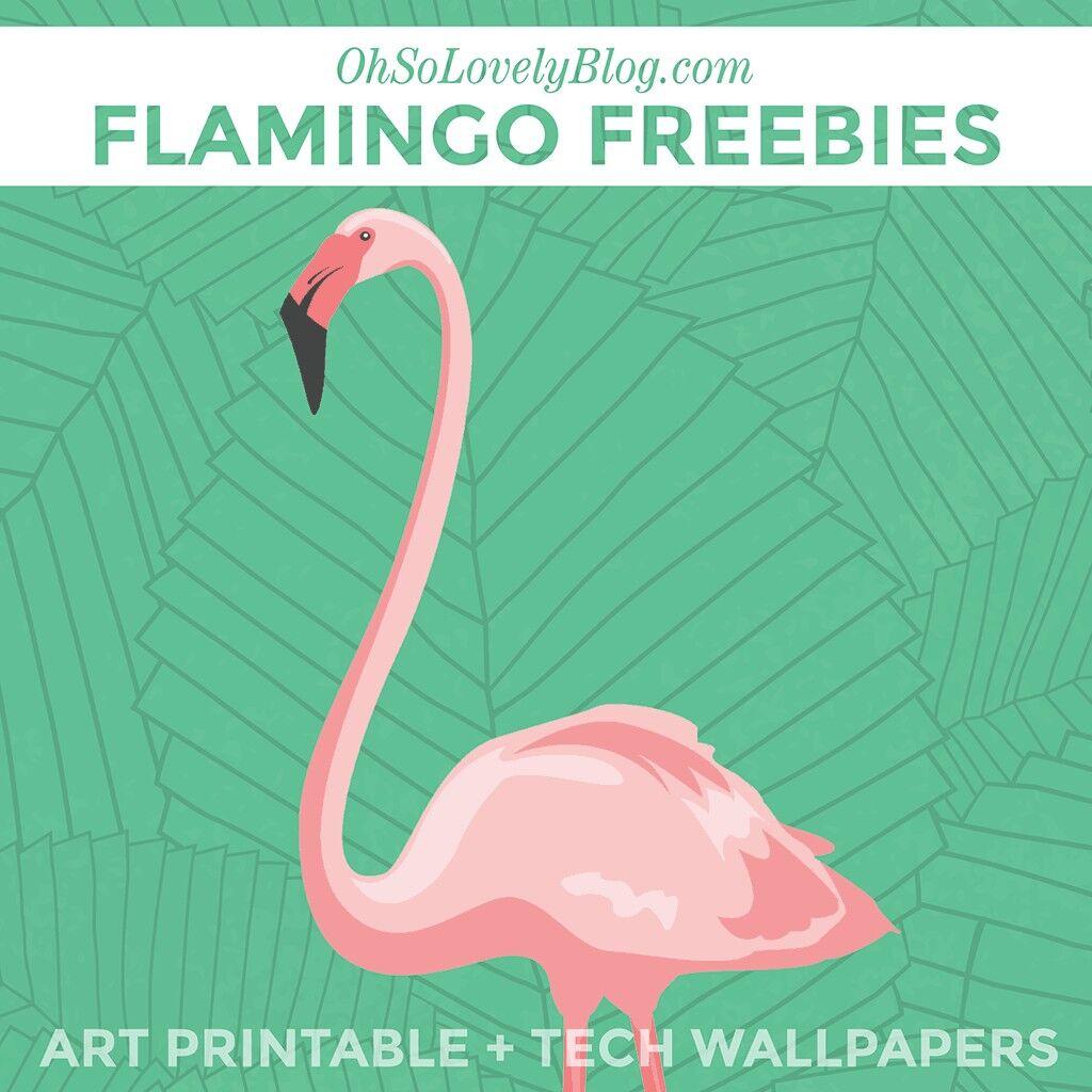 1024x1024 Free Flamingo Art Printable and Tech Wallpaper