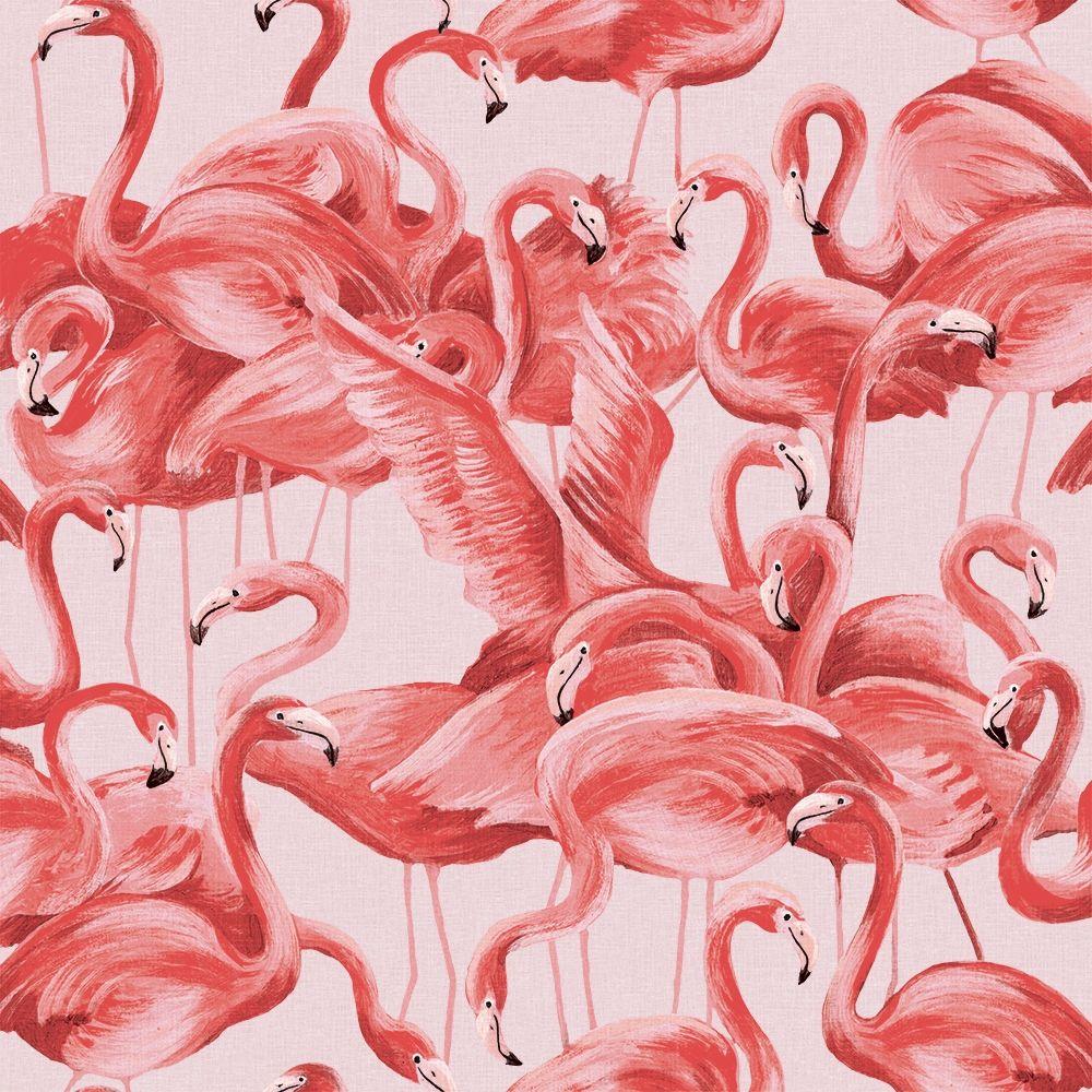 1000x1000 Flamingo Removable Wallpaper Any Space