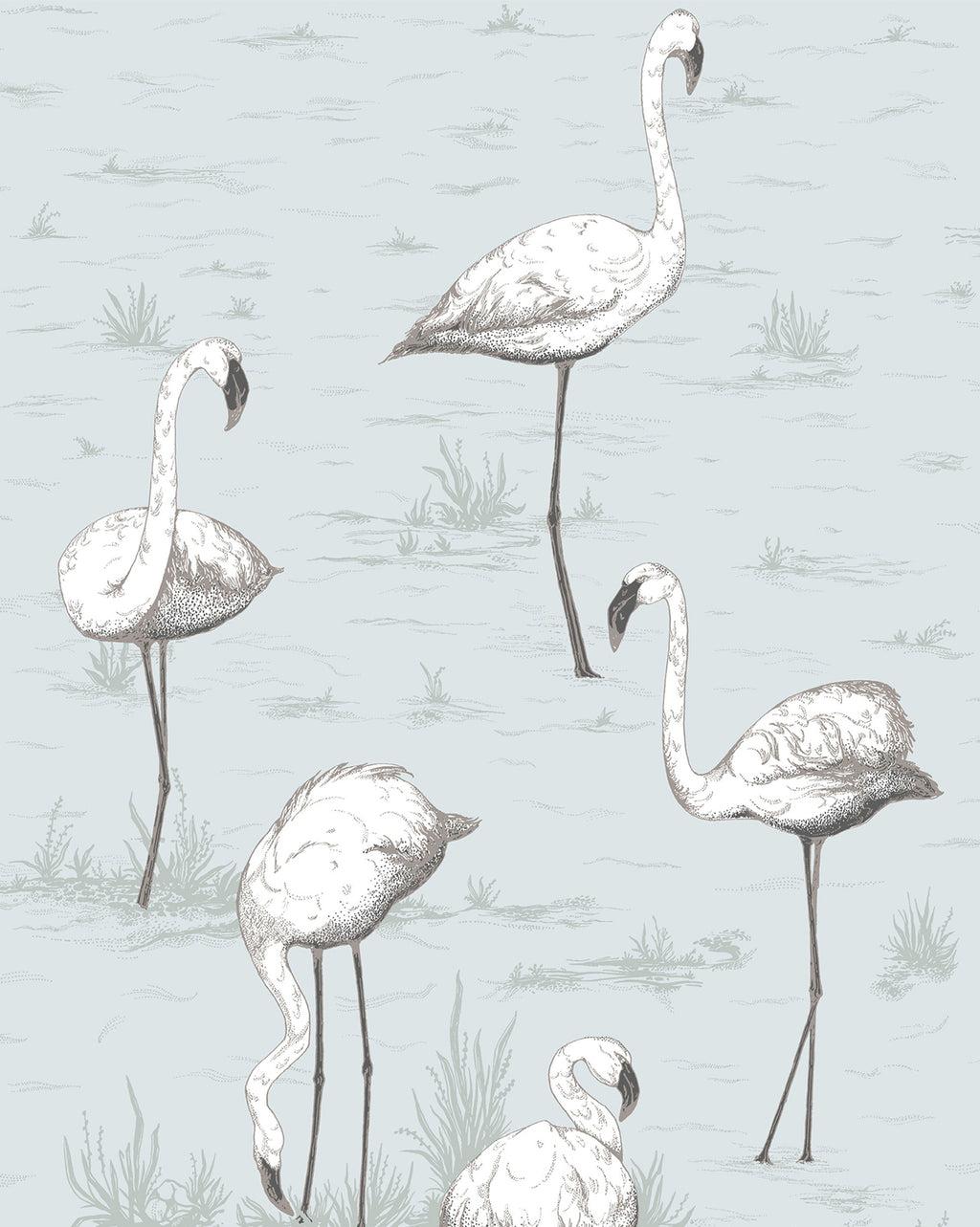1024x1283 Flamingos Wallpaper