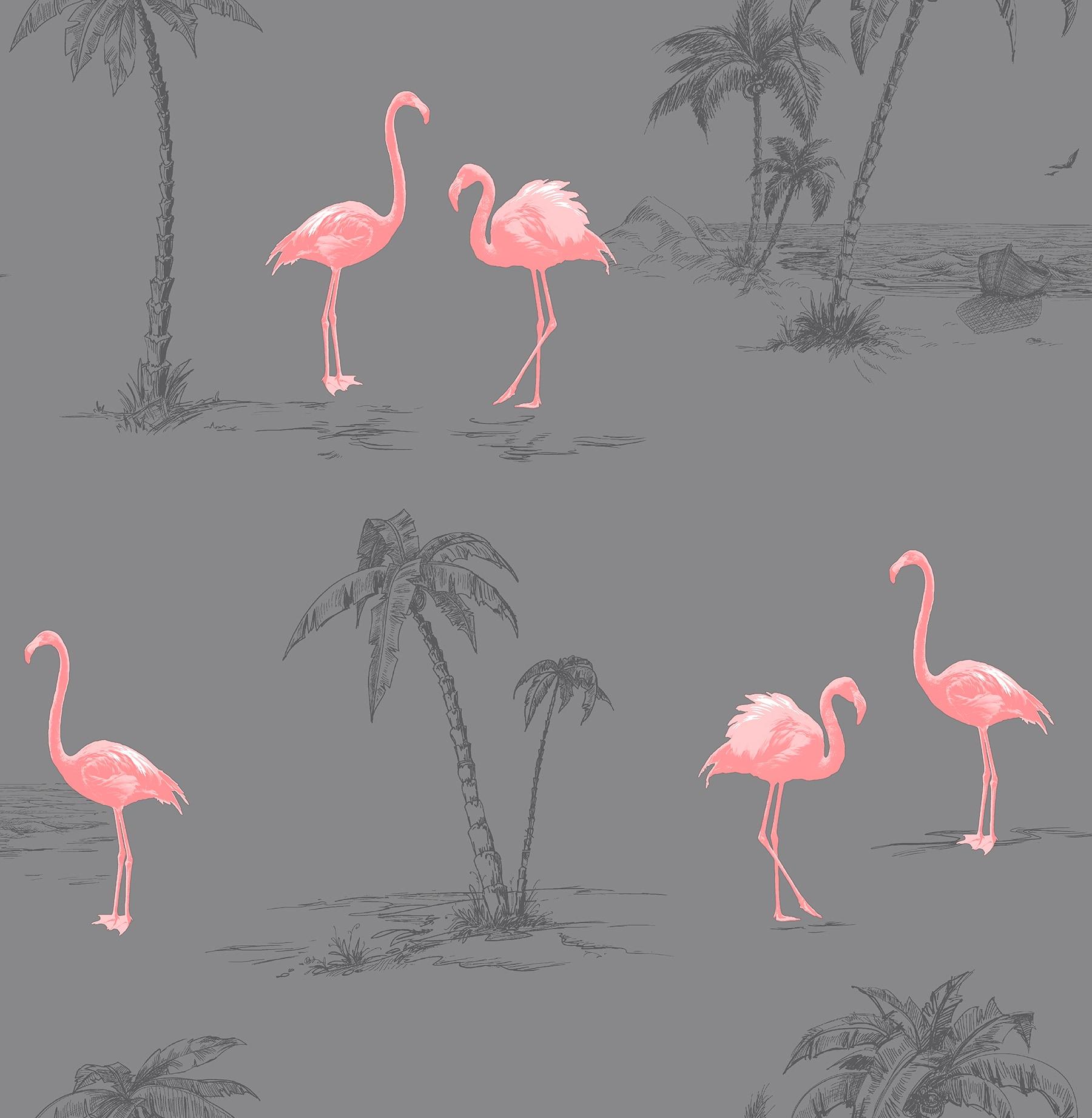 1800x1844 Brewster Sanibel Taupe Flamingo Wallpaper in the Wallpaper department at