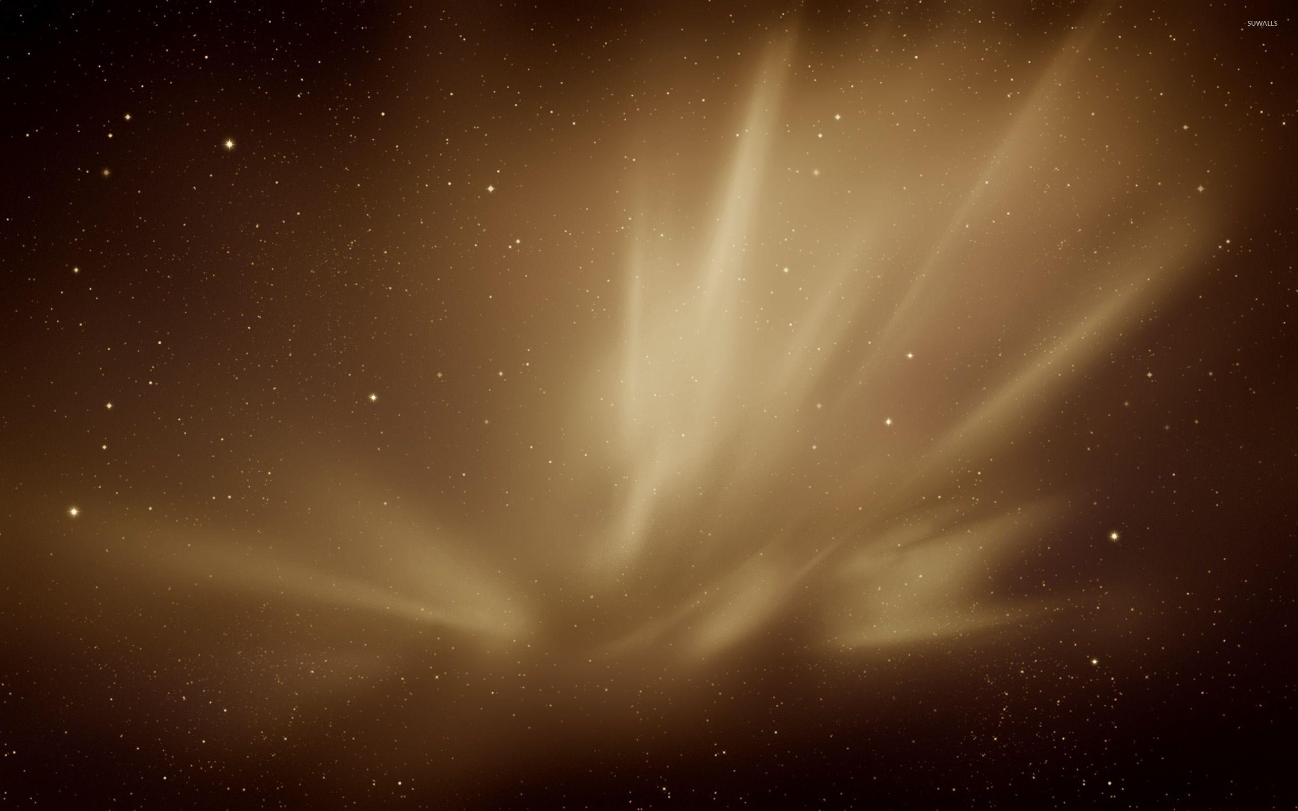 2560x1600 Brown Wallpaper Image