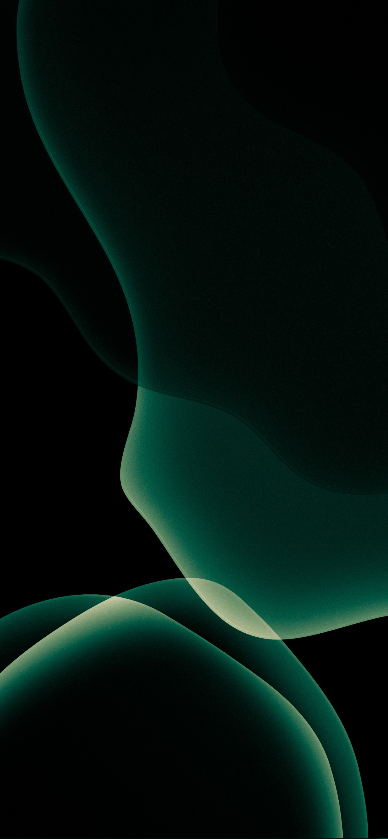 1242x2688 Green iPhone 4k Wallpaper