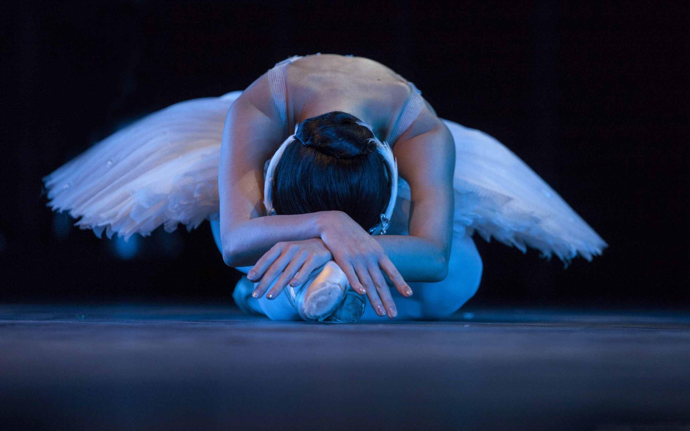 2304x1440 The Ballet MacBook Air Wallpaper Download
