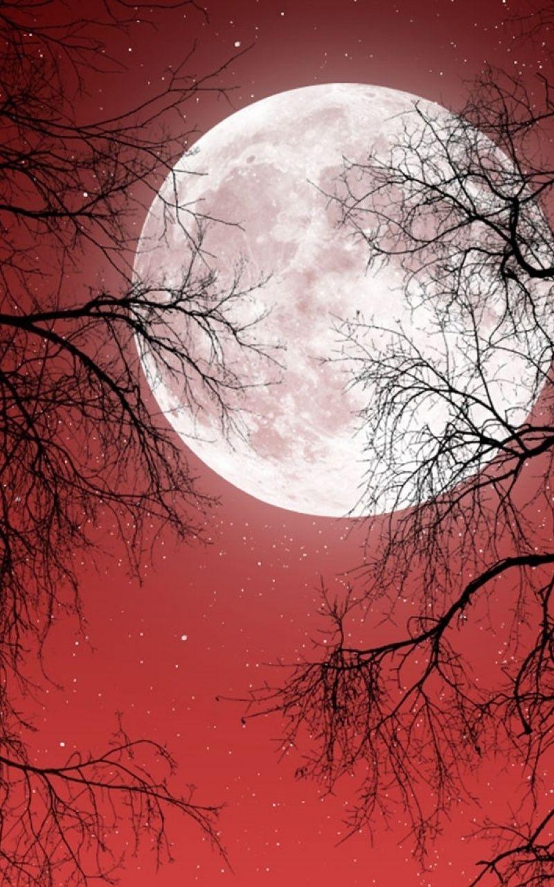 Red Moon Night Sky Wallpapers Top Free Red Moon Night Sky Backgrounds