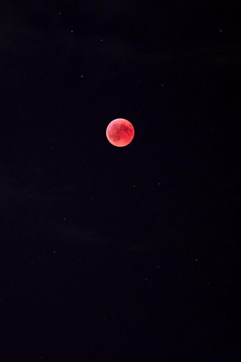 Red Moon Night Sky Wallpapers Top Free Red Moon Night Sky Backgrounds