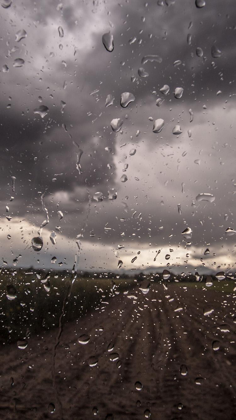 750x1334 iPhoneXpapers window nature water drop road