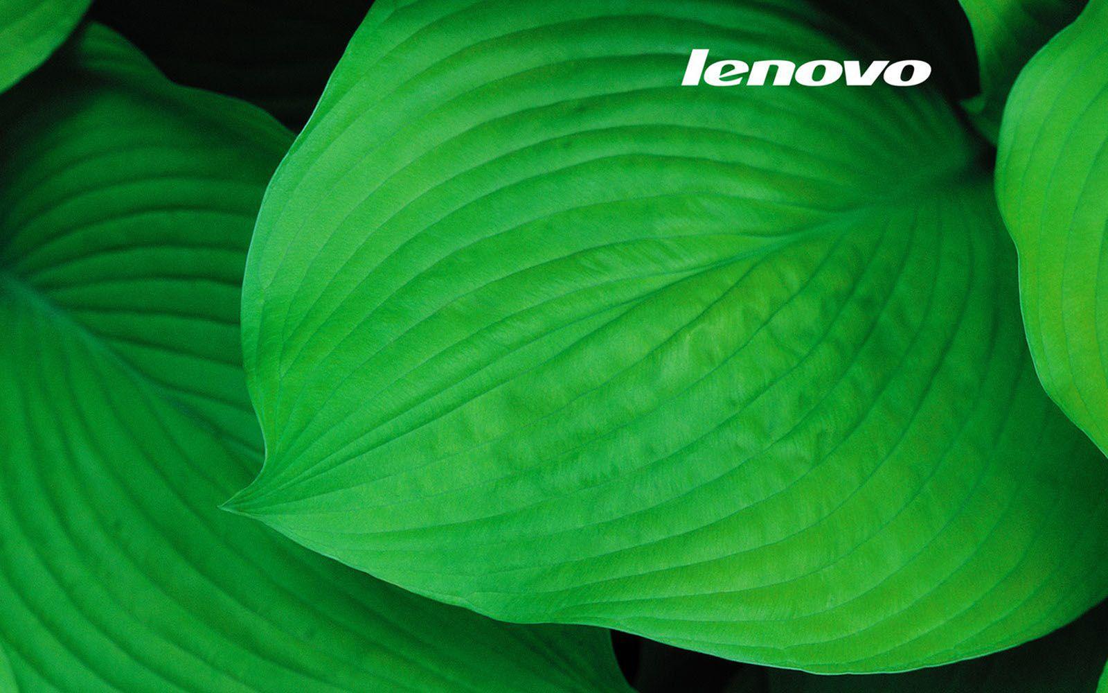 1600x1000 Lenovo Wallpaper High Quality