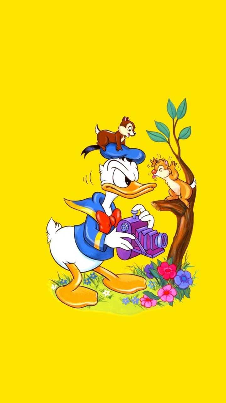 720x1280 Donald Duck Wallpaper