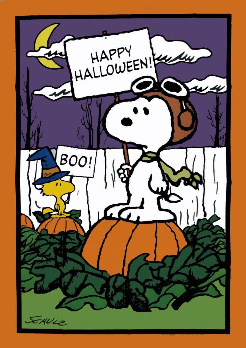 800x1131 Snoopy Halloween Flag Wallpaper