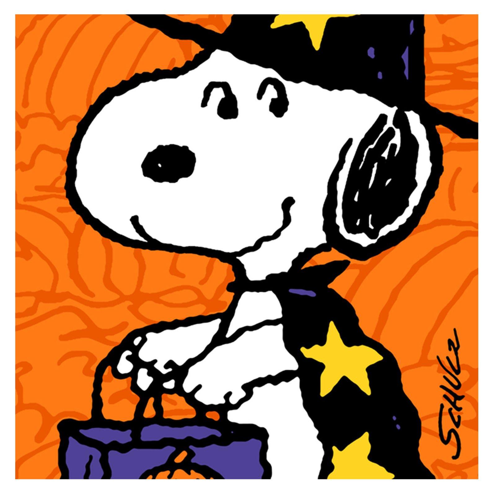 1600x1600 Halloween snoopy wallpaper