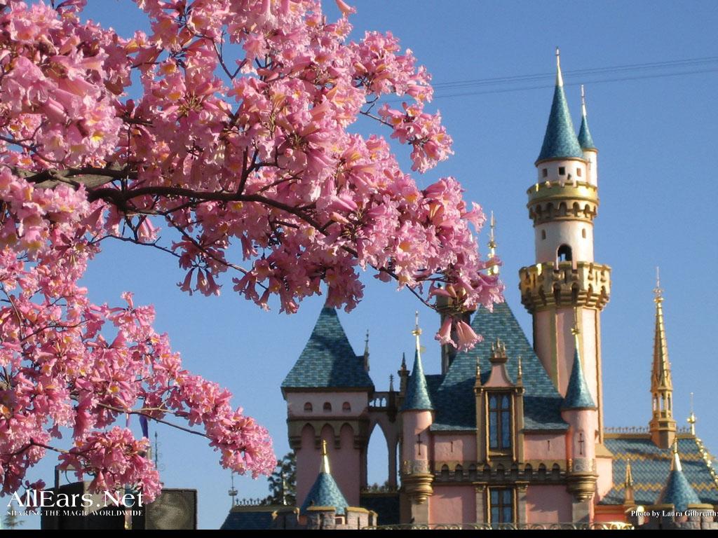 1024x768 Disneyland Wallpaper Castle Flowers