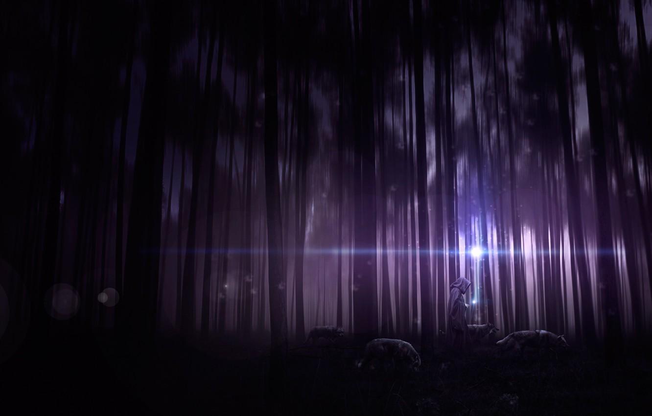 1332x850 Wallpaper forest, trees, night, people, thicket, art, hood, wolves, cloak image for desktop, section рендеринг
