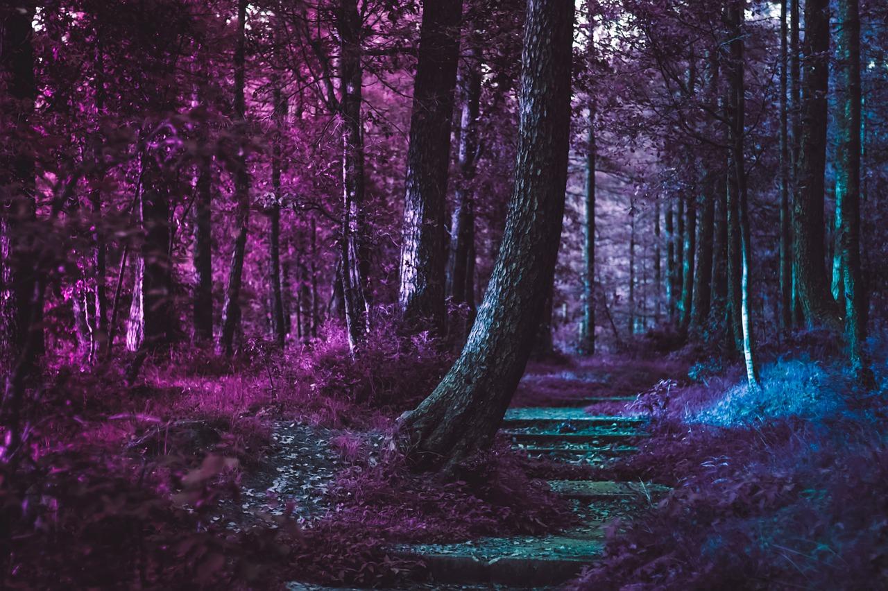 Dark Purple Forest Wallpapers - Top Free Dark Purple Forest Backgrounds ...