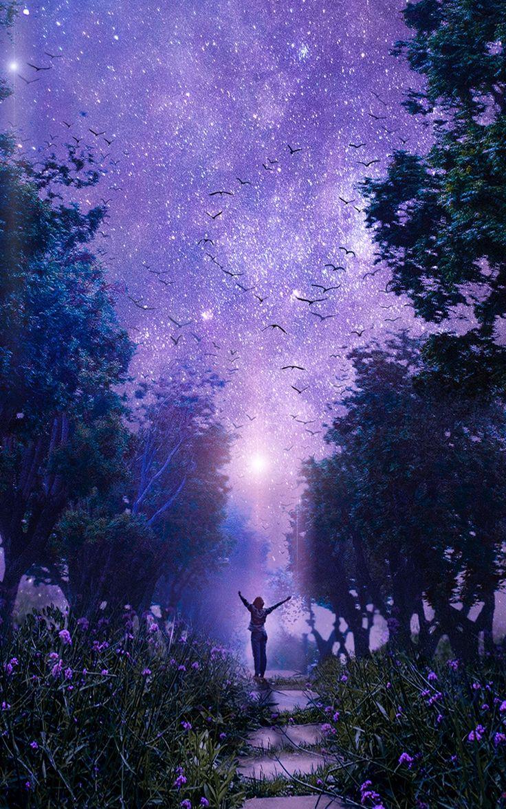 736x1177 Wallpaper forest art starry sky purple fabulous. Sky art, Anime scenery wallpaper, Dark purple wallpaper