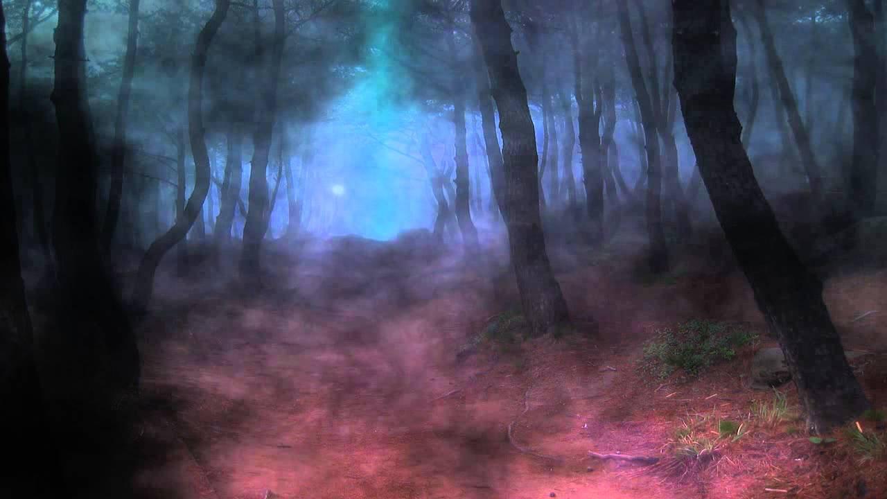 1280x720 Free download Dark Forest Video Background [1280x720] for your Desktop, Mobile & Tablet. Explore Forest Background Dark. Forest Wallpaper Dark, Dark Forest Wallpaper, Dark Forest Wallpaper