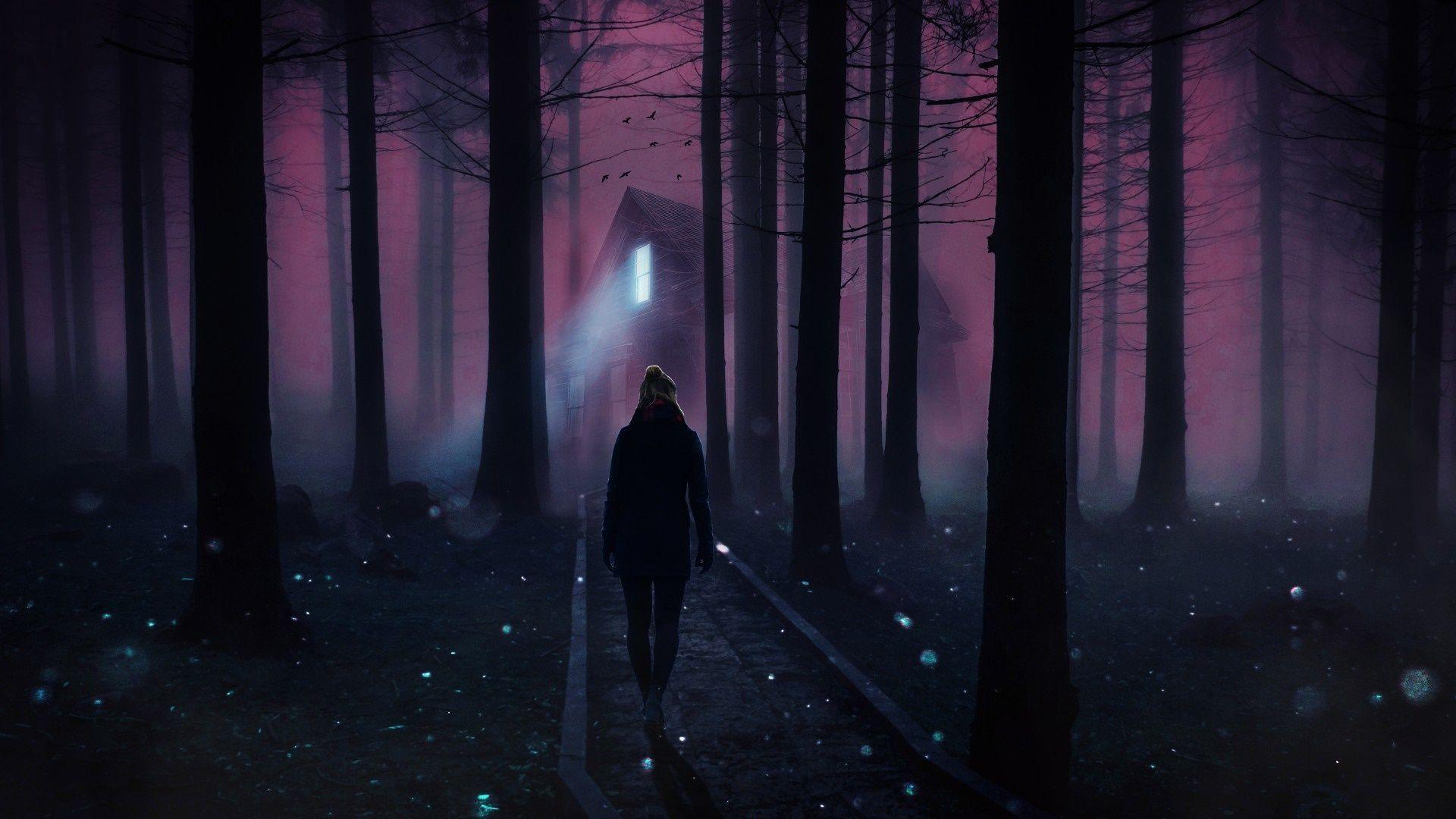 1920x1080 Night Forest Wallpaper