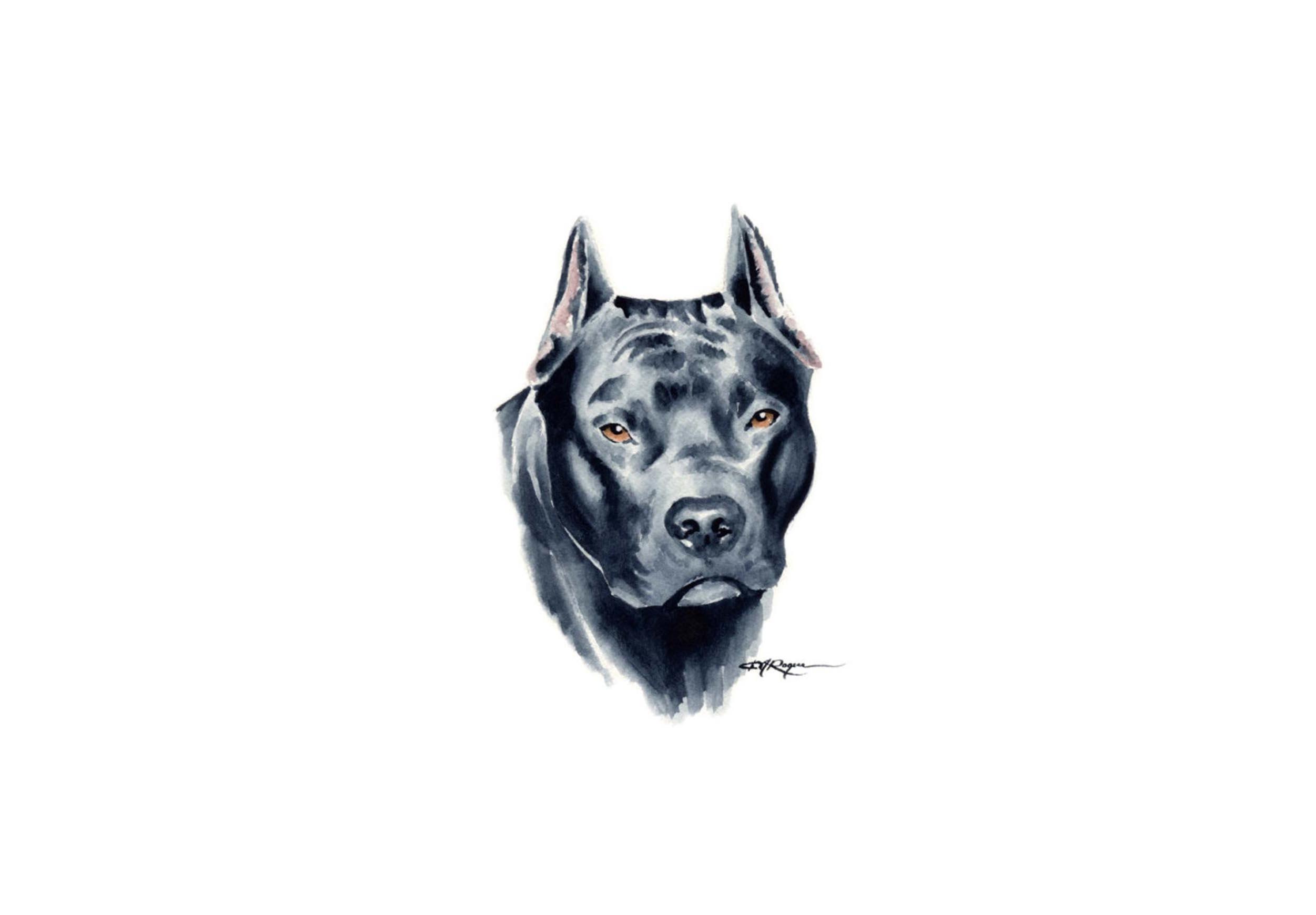 2502x1740 Drawn Pitbull Wallpaper Dog HD Wallpaper 1080p