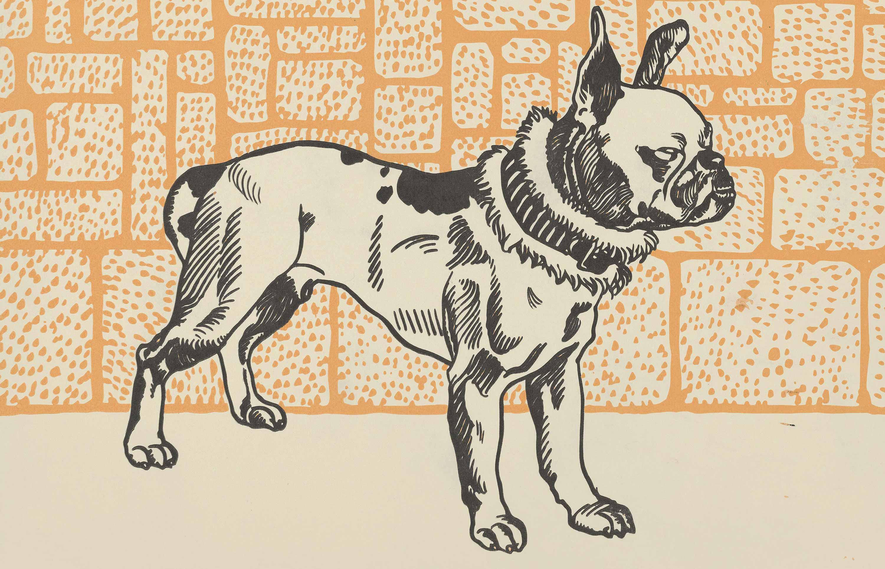 3000x1931 PITBULL coverings / wallpaper from GMM