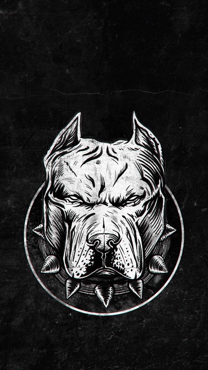 720x1280 Pitbull Owner Wallpaper : iPhone Wallpaper