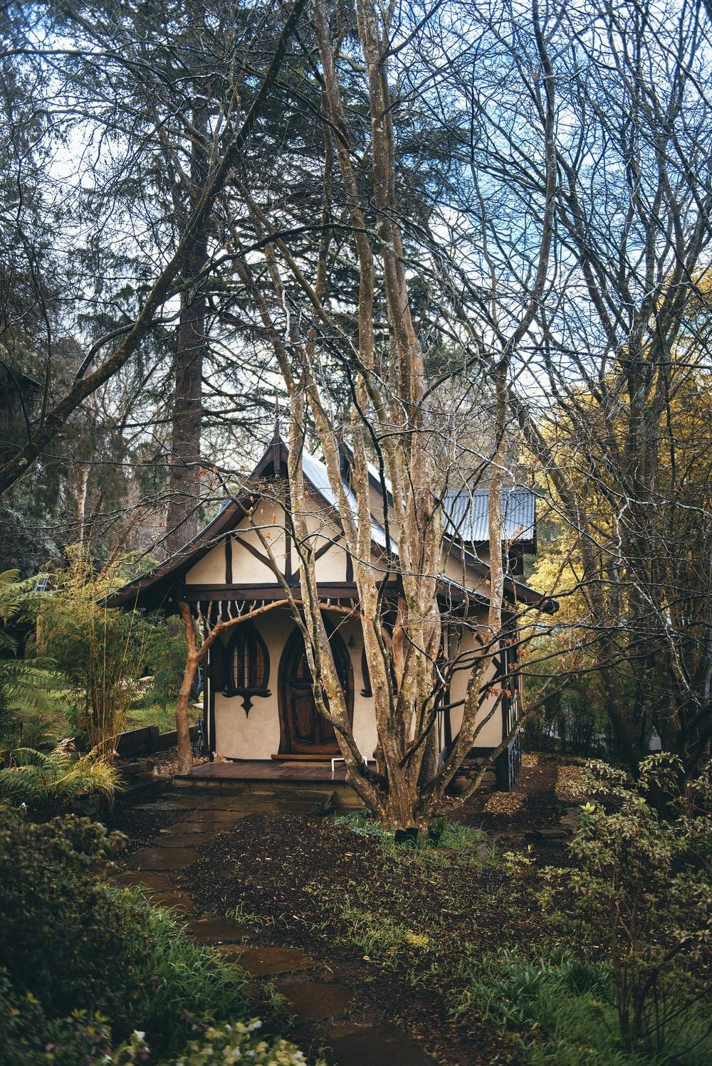 1000x1498 Fairy House Picture. Download Free Image