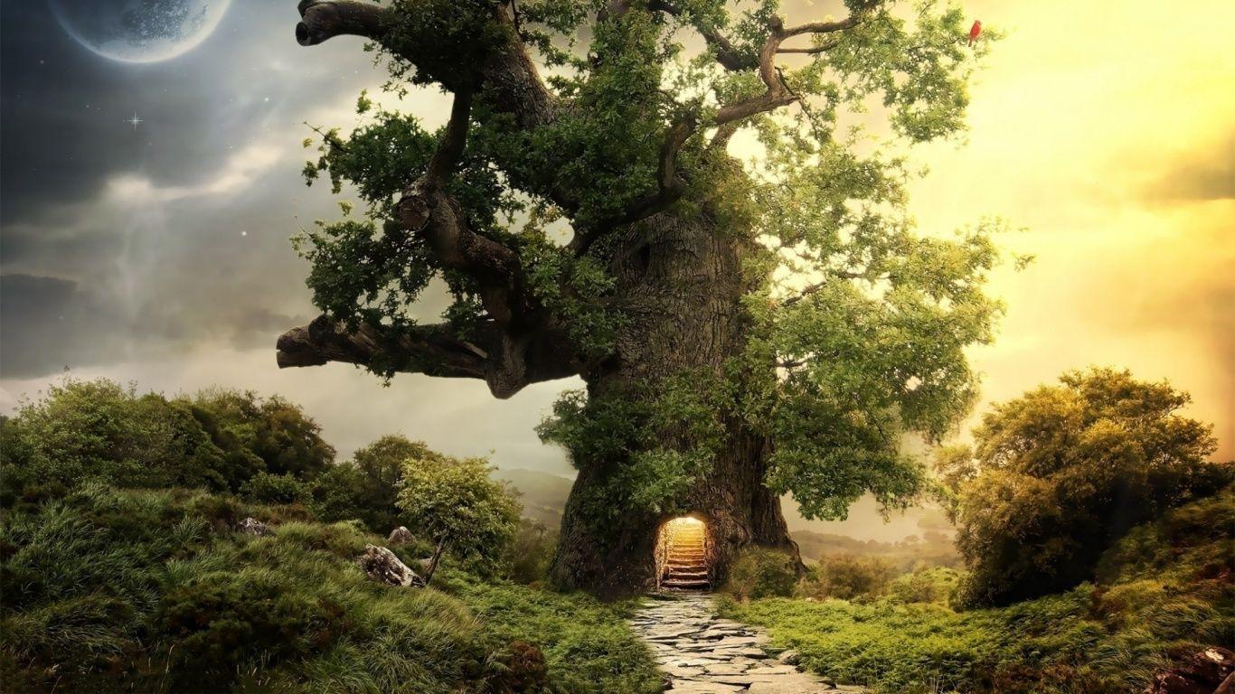 1366x768 Fantasy Land. Fantasy tree, Fantasy house, Beautiful tree houses