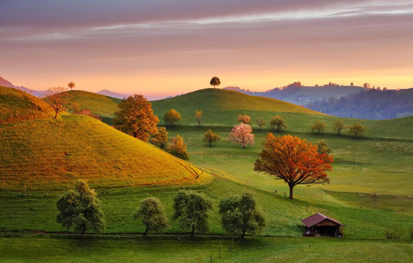 1332x850 Wallpaper trees, field, Switzerland, house, Fairytale Morning image for desktop, section пейзажи