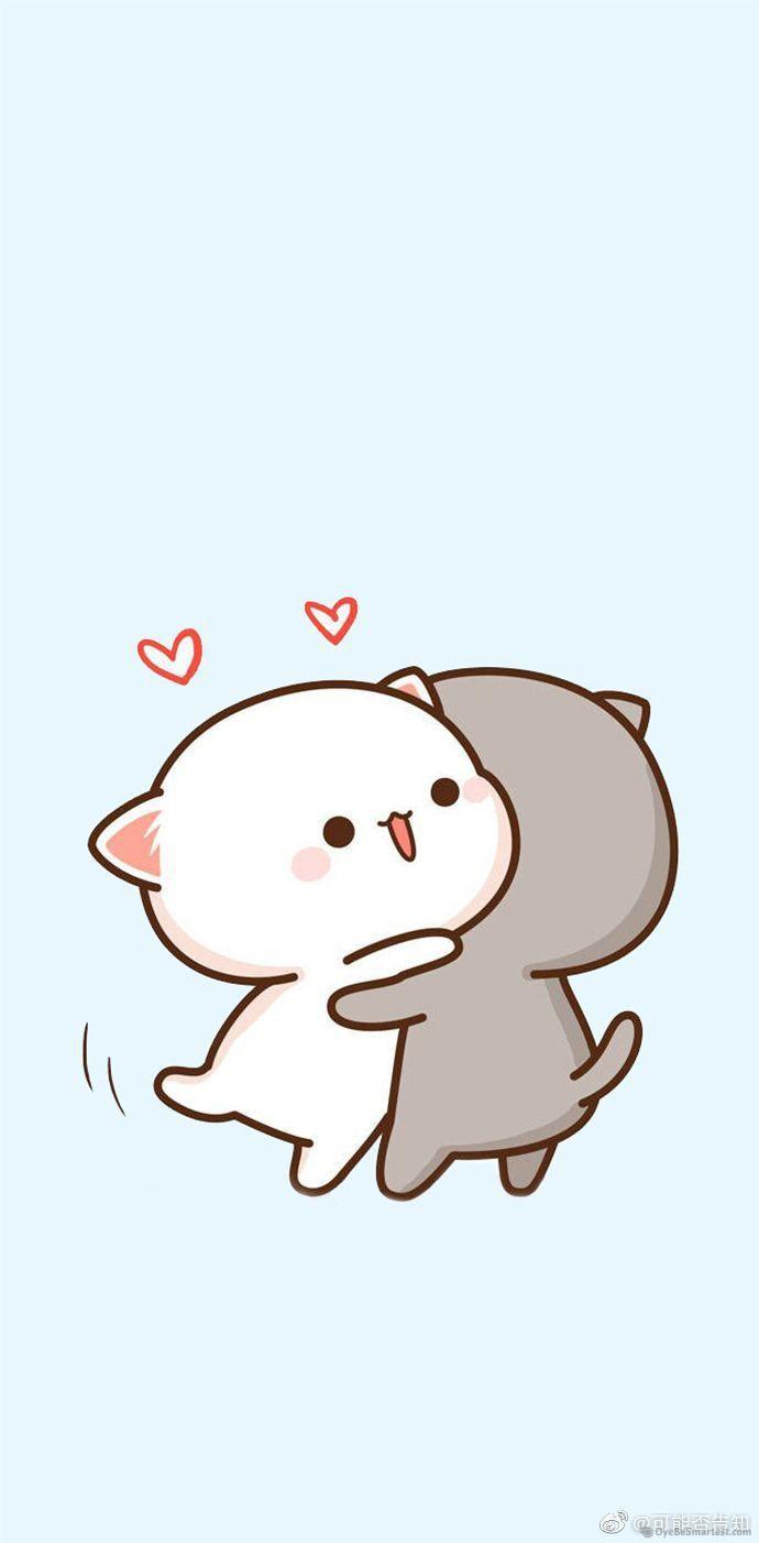 690x1402 Matching Cat Wallpaper