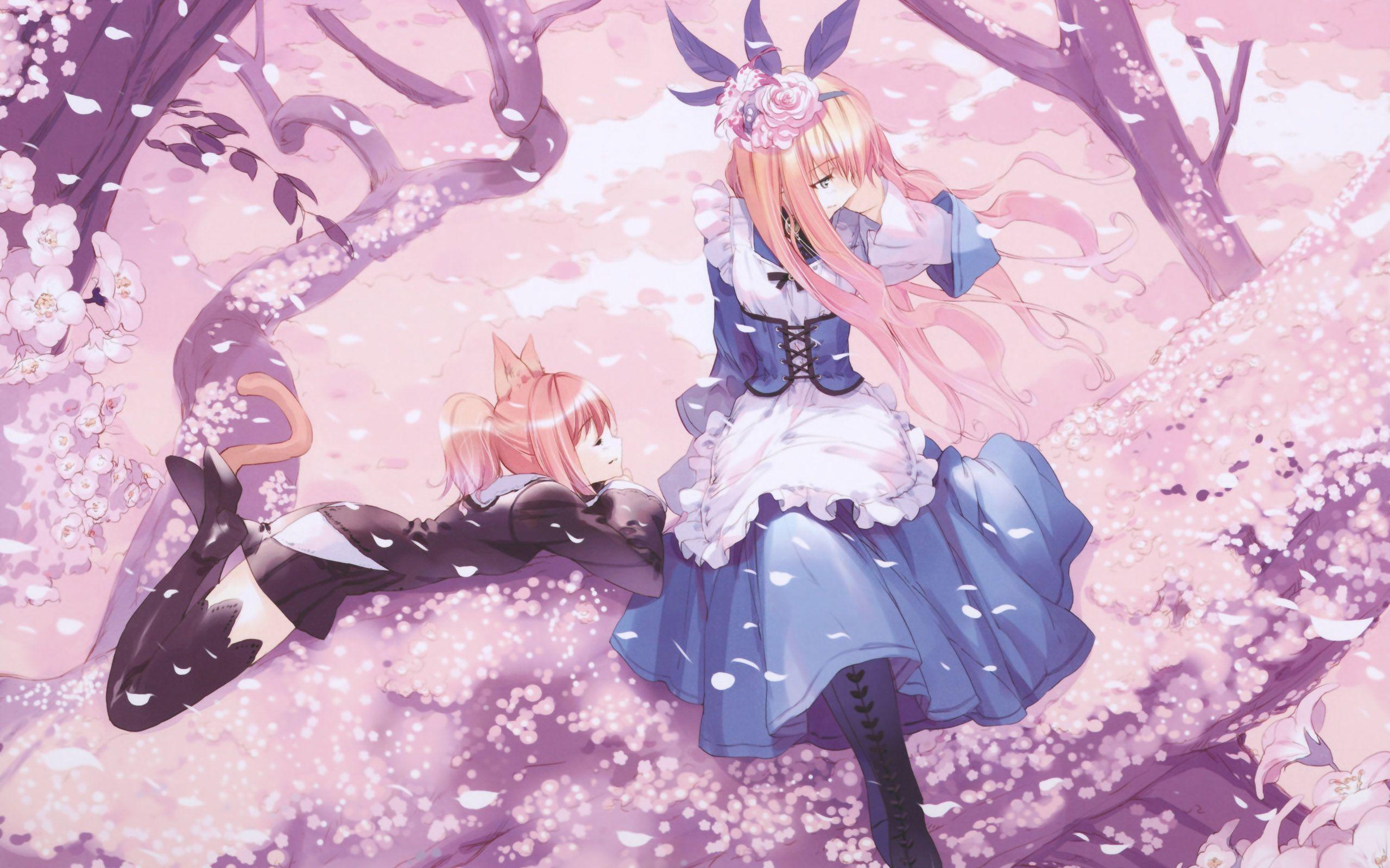 2560x1600 alice in wonderland anime Stuff 2