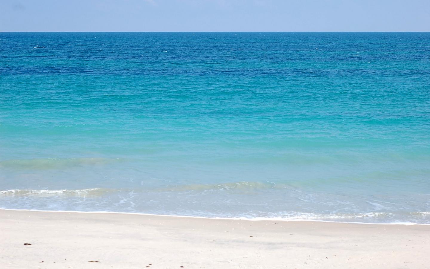 1440x900 Free download Description Florida Beach is a hi res Wallpaper for pc desktops [1504x1000] for your Desktop, Mobile & Tablet. Explore Florida Beach Desktop Wallpaper. Free Beach Wallpaper, Beautiful